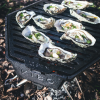 KIBO Met oesters