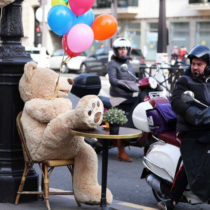 Grote Teddybeer – 160 cm