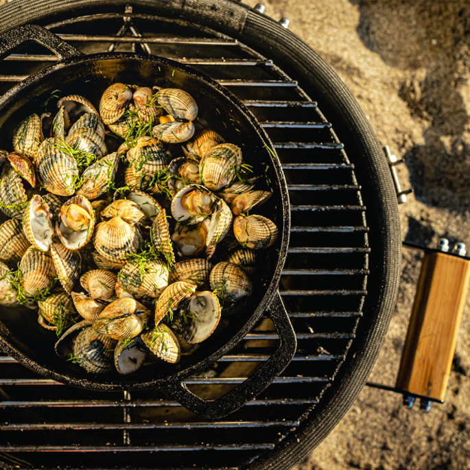 BBQ pan met deksel medium