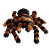 Reuze Tarantula Knuffel - Giant Tarantula Pluche