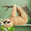 Luiaard Knuffel – Sloth Pillow