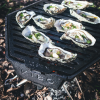 KIBO Met oesters